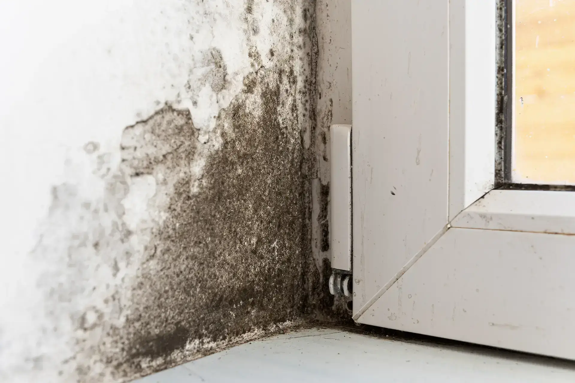 Garland's Leading Water Damage Restoration Company — Garland, TX